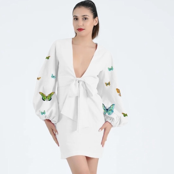 Fanm Mon Dresses & Skirts - NWT Fanm Mon Larson Embroidered Long Sleeve VNeck Mini White Cotton Dress Sz XL